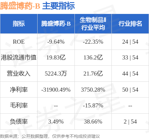 最新潮流商品项目，满足多元化需求引领潮流