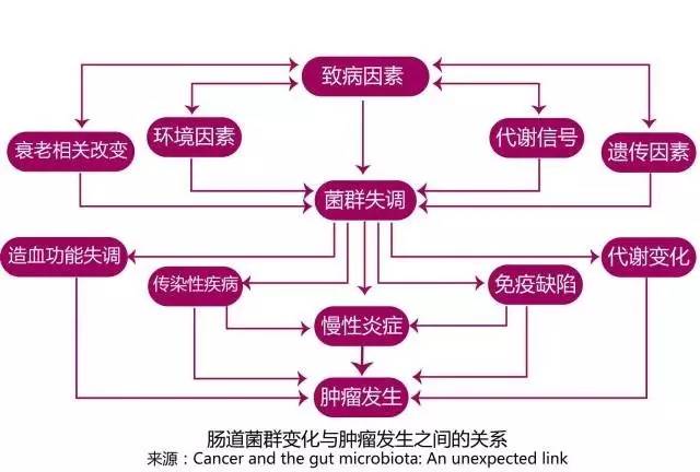 澳门最精准正最精准龙门客栈,科学基本定义_天脉境CMV898.98