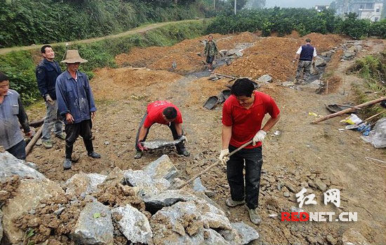 保靖最新房源，现代居住新选择探索