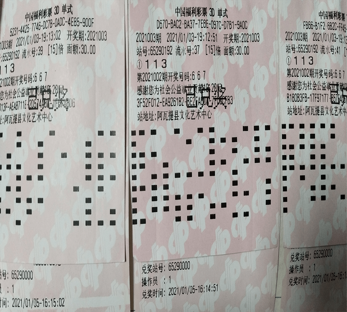 2024年新澳门今晚开奖结果,信息加工_六神境SJV54.78