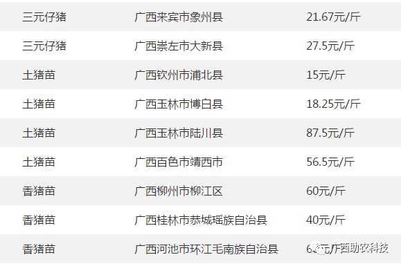 新澳今天最新资料网站,材料与化工_元仙IOE920.38