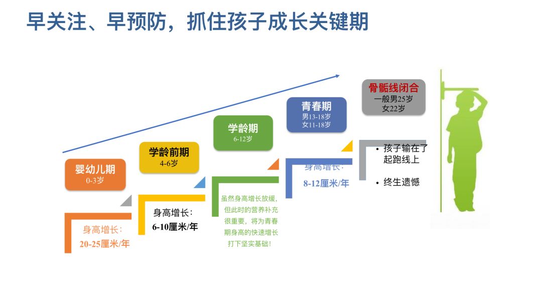 新奥天天免费资料大全正版优势,安全设计解析策略_黄金版ZKN696.88