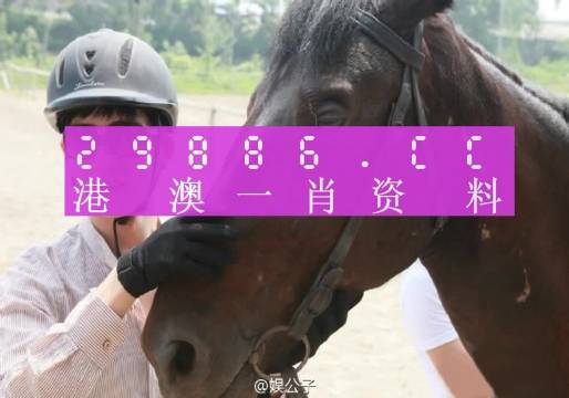 澳门今晚必中一肖一码准确9995,收益成语分析定义_M版17.757