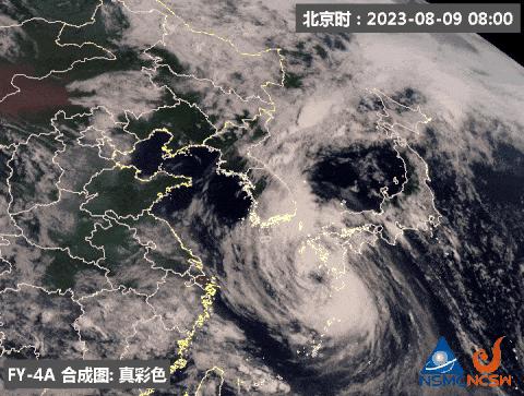 东北台风最新动态，影响、应对与反思